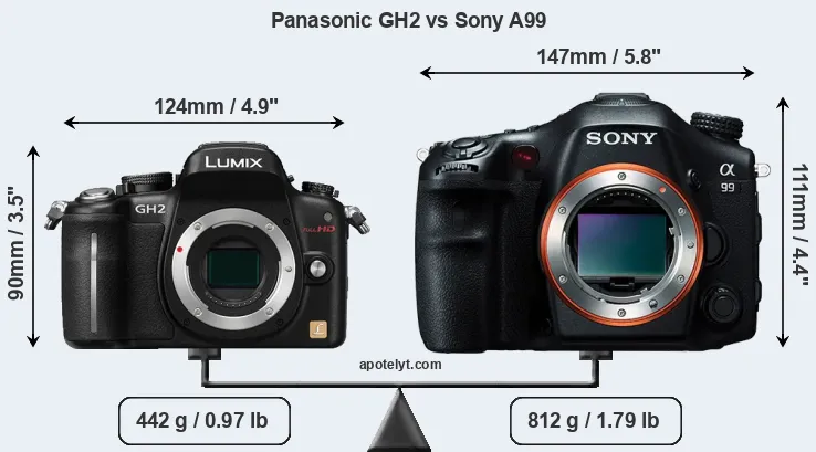 Size Panasonic GH2 vs Sony A99