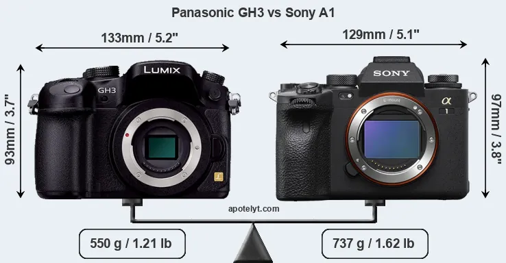 Size Panasonic GH3 vs Sony A1