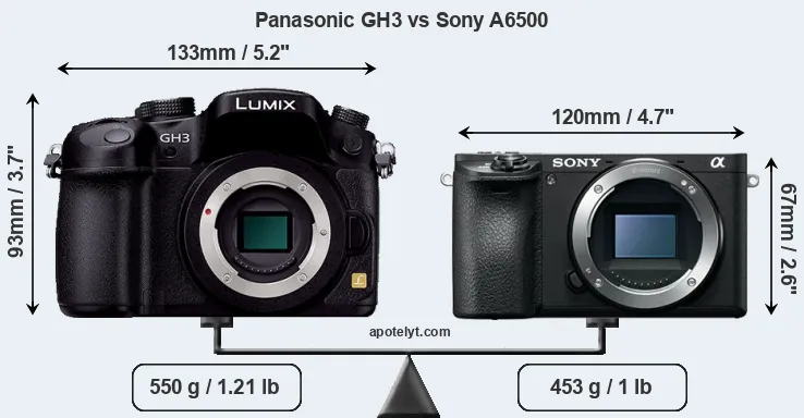 Size Panasonic GH3 vs Sony A6500