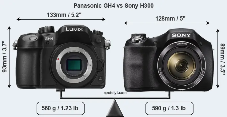 Size Panasonic GH4 vs Sony H300