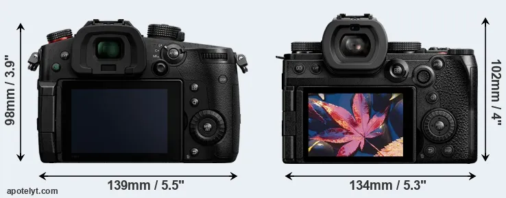 Comparison GH5 II or S5 II rear
