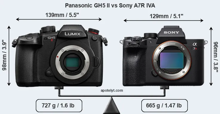Size Panasonic GH5 II vs Sony A7R IVA