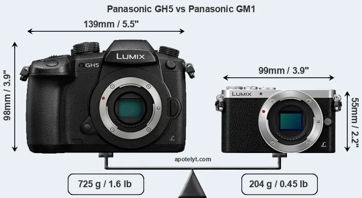 Size Panasonic GH5 vs Panasonic GM1