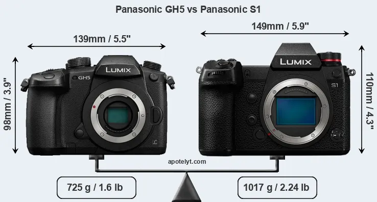 Size Panasonic GH5 vs Panasonic S1
