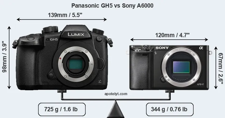 Size Panasonic GH5 vs Sony A6000