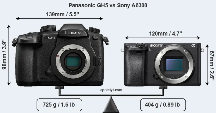 Size Panasonic GH5 vs Sony A6300