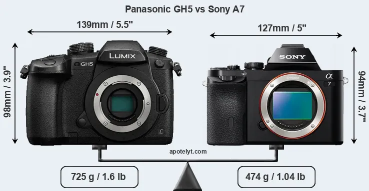 Size Panasonic GH5 vs Sony A7
