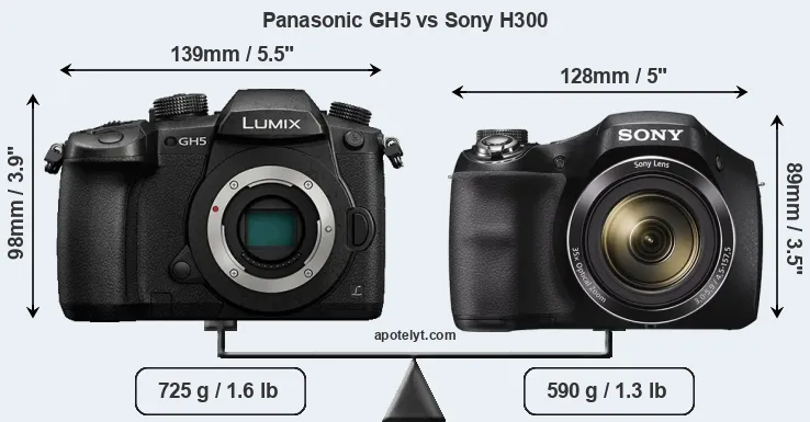 Size Panasonic GH5 vs Sony H300