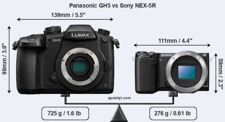 Size Panasonic GH5 vs Sony NEX-5R