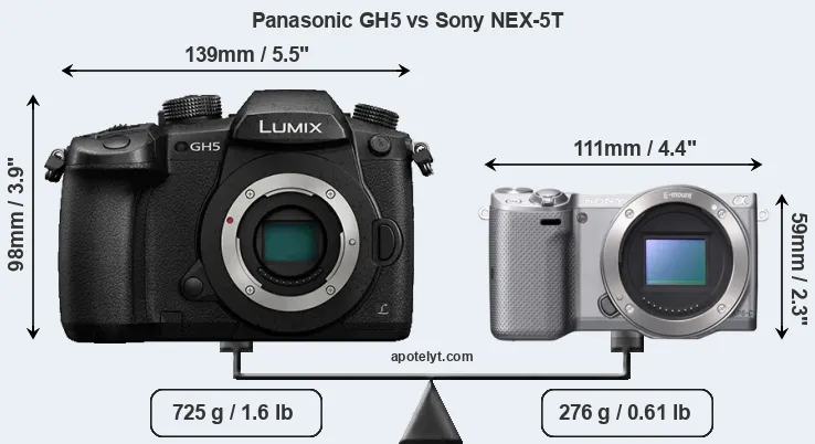 Size Panasonic GH5 vs Sony NEX-5T