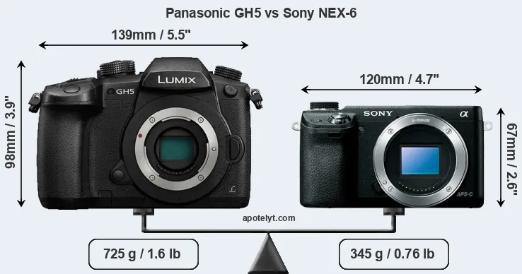 Size Panasonic GH5 vs Sony NEX-6