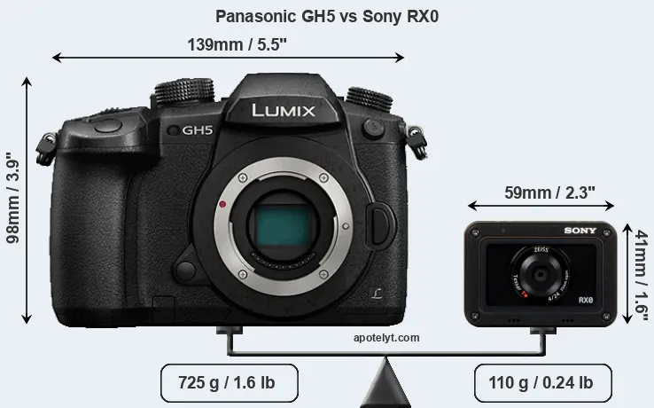 Size Panasonic GH5 vs Sony RX0