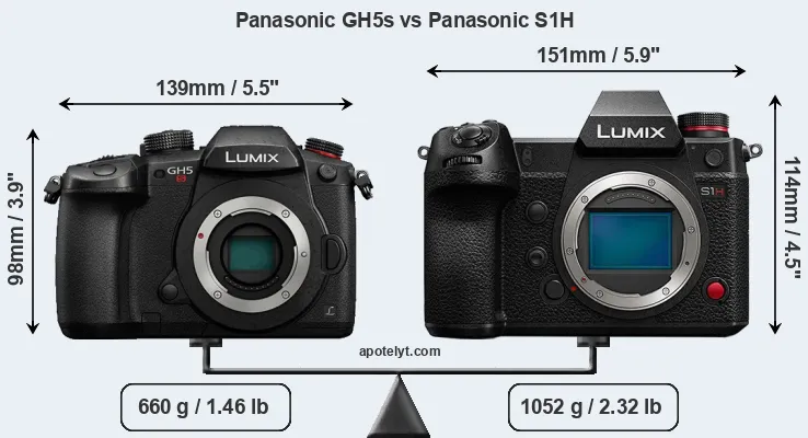 Size Panasonic GH5s vs Panasonic S1H