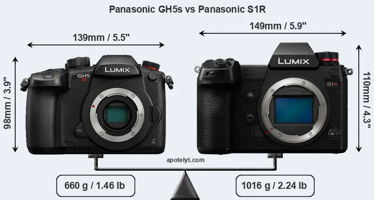 Size Panasonic GH5s vs Panasonic S1R