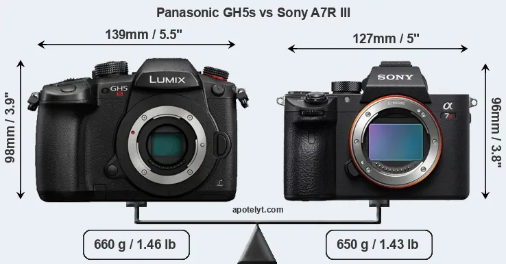 Size Panasonic GH5s vs Sony A7R III