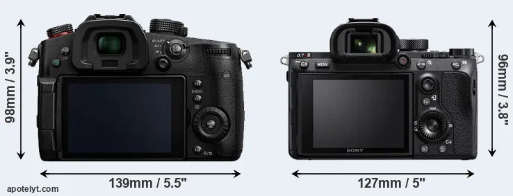 Comparison GH5s or A7R III rear