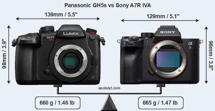 Size Panasonic GH5s vs Sony A7R IVA