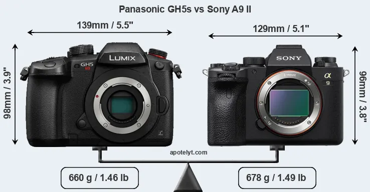 Size Panasonic GH5s vs Sony A9 II