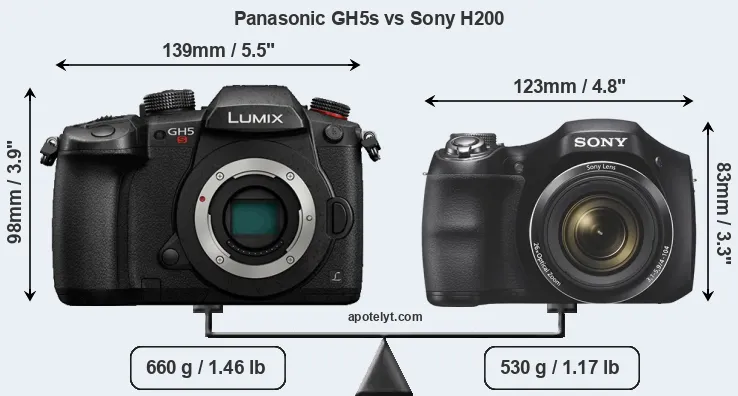 Size Panasonic GH5s vs Sony H200