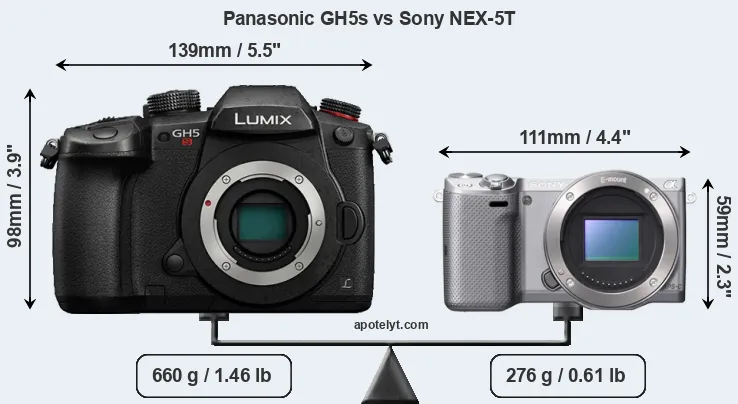 Size Panasonic GH5s vs Sony NEX-5T