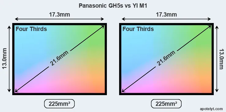 Panasonic GH5s and YI M1 sensor measures