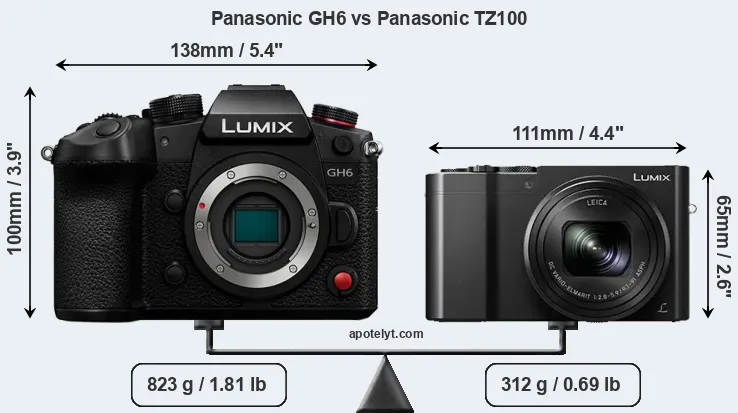 Size Panasonic GH6 vs Panasonic TZ100