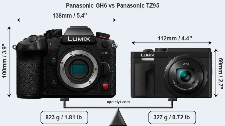 Size Panasonic GH6 vs Panasonic TZ95