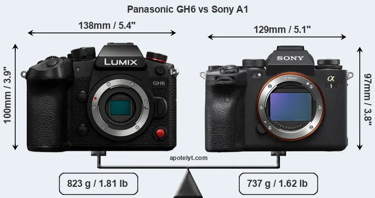 Size Panasonic GH6 vs Sony A1