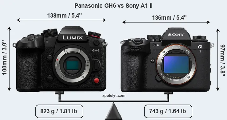 Size Panasonic GH6 vs Sony A1 II