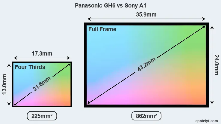 Panasonic GH6 and Sony A1 sensor measures