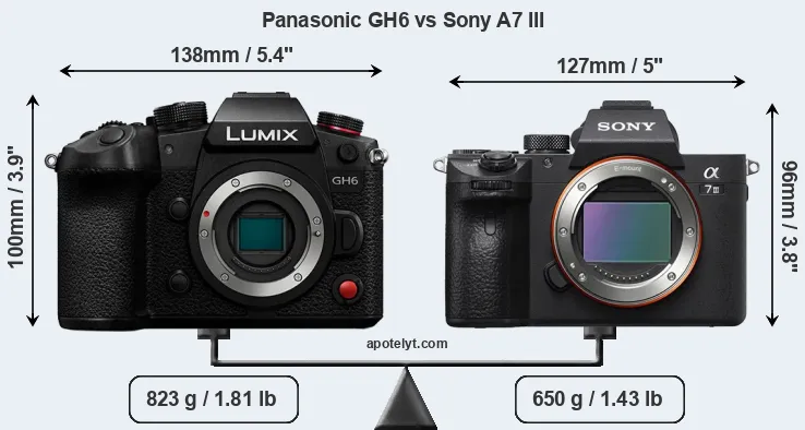 Size Panasonic GH6 vs Sony A7 III