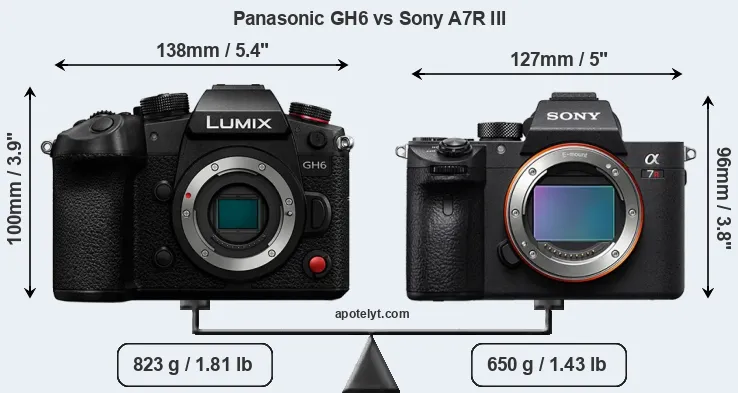 Size Panasonic GH6 vs Sony A7R III