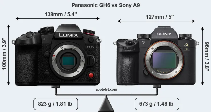 Size Panasonic GH6 vs Sony A9