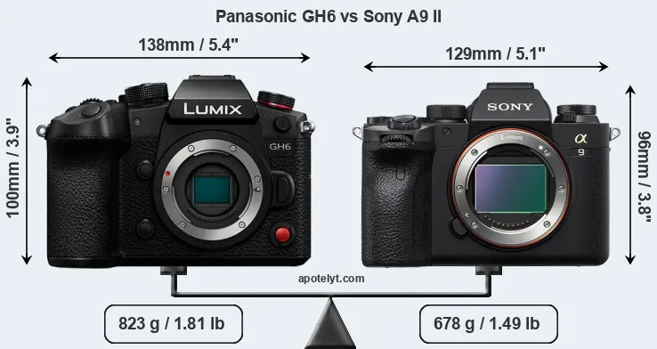 Size Panasonic GH6 vs Sony A9 II