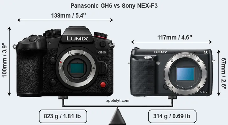 Size Panasonic GH6 vs Sony NEX-F3