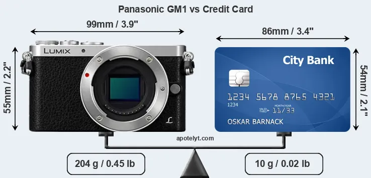 Panasonic GM1 vs credit card front