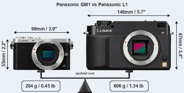 Size Panasonic GM1 vs Panasonic L1
