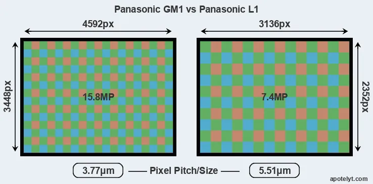 GM1 versus L1 MP
