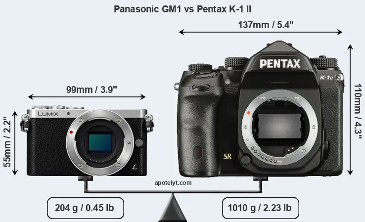 Size Panasonic GM1 vs Pentax K-1 II