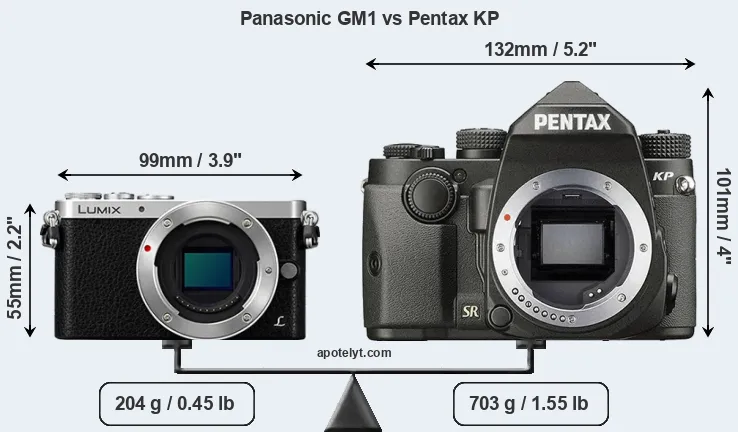 Size Panasonic GM1 vs Pentax KP