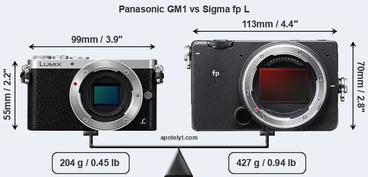 Size Panasonic GM1 vs Sigma fp L
