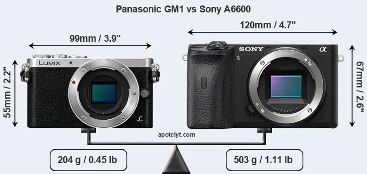 Size Panasonic GM1 vs Sony A6600