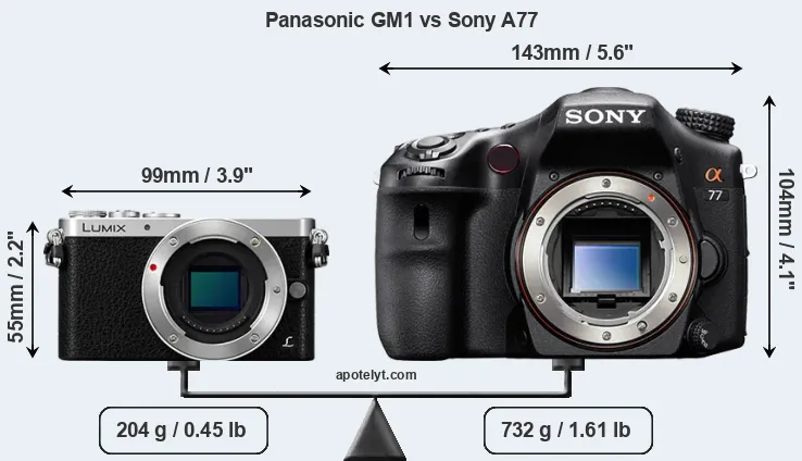 Size Panasonic GM1 vs Sony A77
