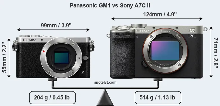 Size Panasonic GM1 vs Sony A7C II