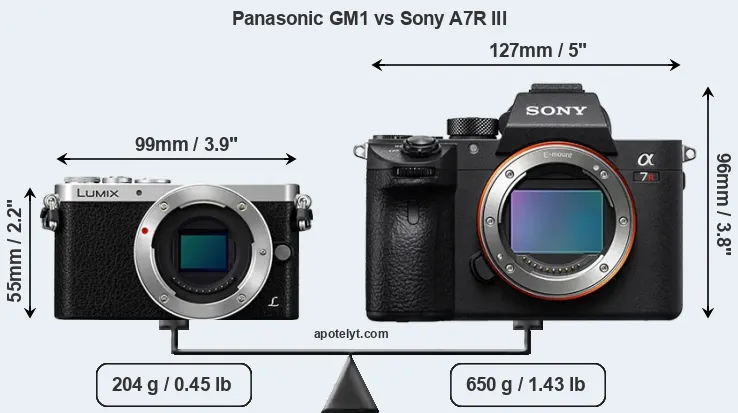 Size Panasonic GM1 vs Sony A7R III
