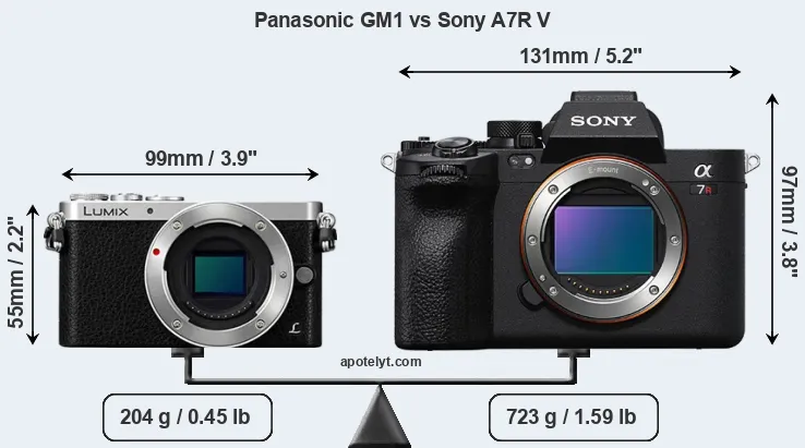 Size Panasonic GM1 vs Sony A7R V