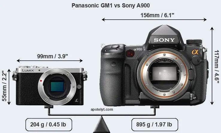Size Panasonic GM1 vs Sony A900