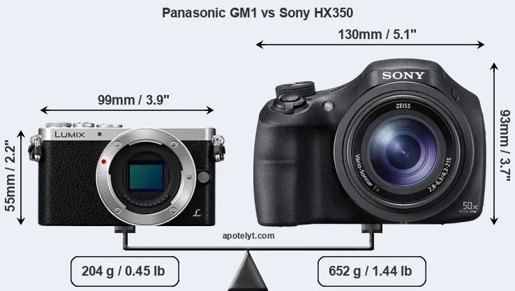 Size Panasonic GM1 vs Sony HX350