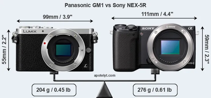 Size Panasonic GM1 vs Sony NEX-5R
