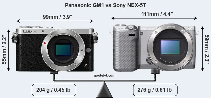 Size Panasonic GM1 vs Sony NEX-5T